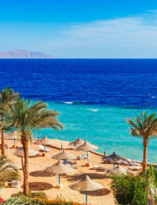 Beach and palm trees on Red Sea in Sharm el Sheikh, Sinai, Egypt
